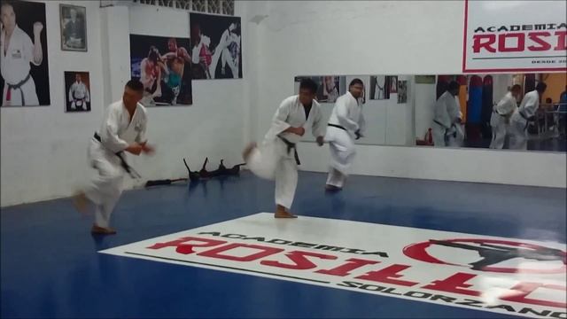 Entrenamiento cinturones negros karate do SHOTOKAN Jueves 18 de junio del 2 015