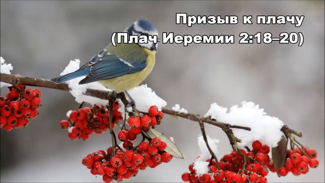 06.12.2014 Время плакать (Плач Иеремии 2:18–22)