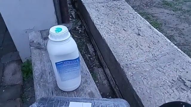Эффективное средства от вредителей для плодовых деревьев и кустарников .