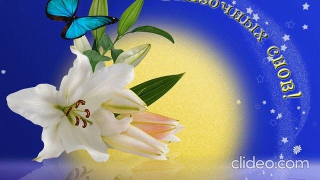 Спокойной ночи, Добрых снов, ?