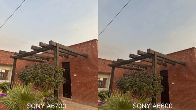 Sony A6700 Vs Sony A6600 Camera Test Leaks & Comparison