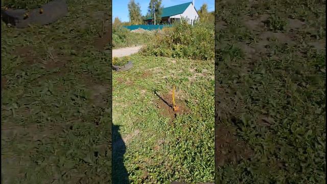 второй и третий день