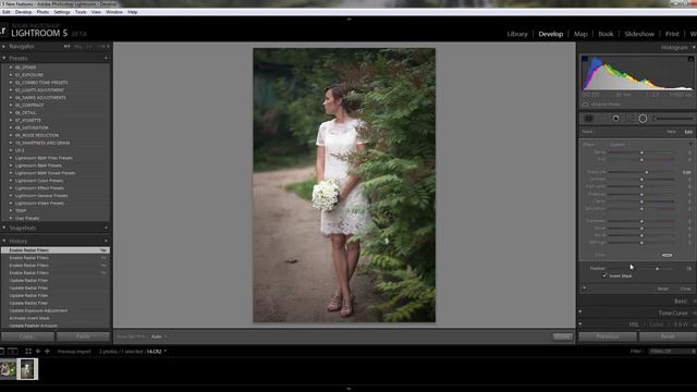 Lightroom 5 beta. Radial Filter