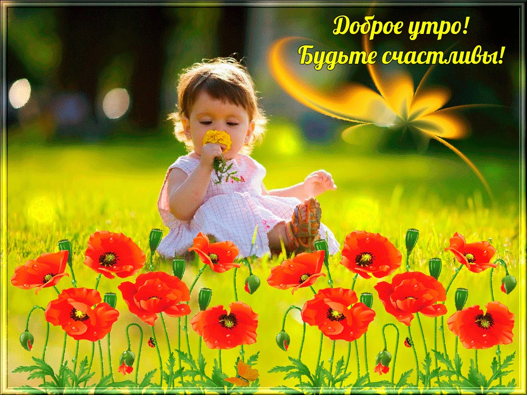 Картинки Хорошего Дня Новенькое Летние