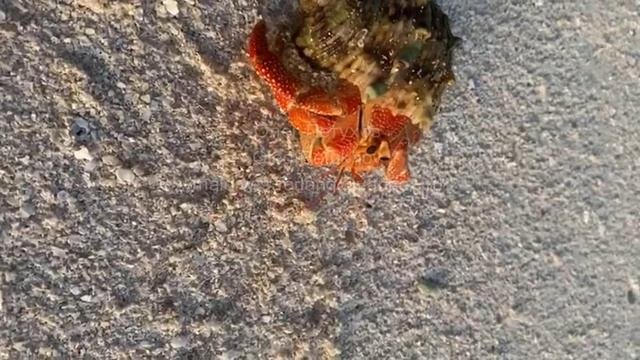 Мальдивы. Maldives. 马尔代夫 68