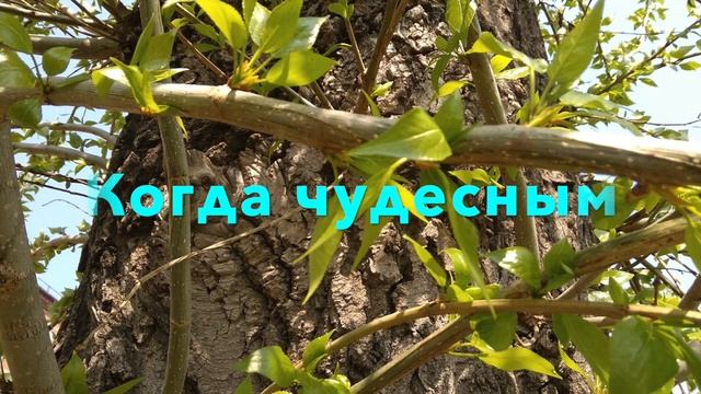 Когда чудесным майским днем (Г. Гейне)_When on a wonderful May day (G. Heine)