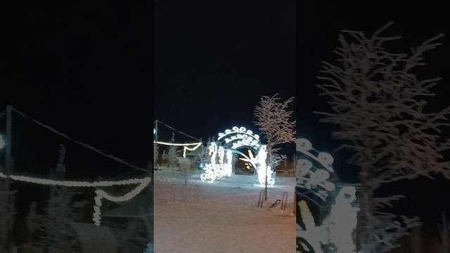 Красное село СПб, новый парк