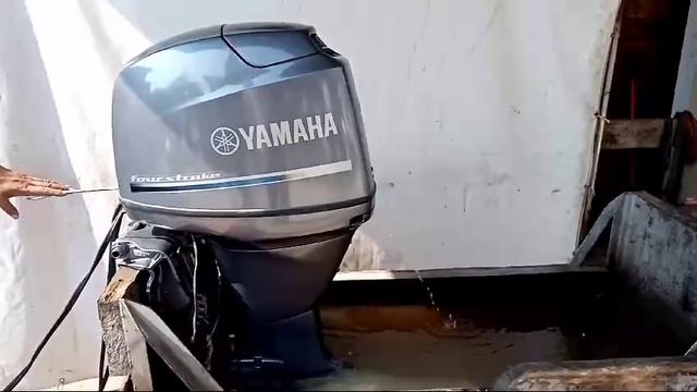 Yamaha F50 EFI. Запуск двигателя