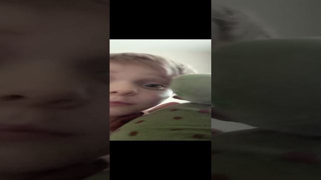 превет