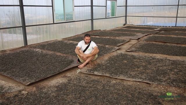 О целях и смыслах. На что делать упор в жизни?