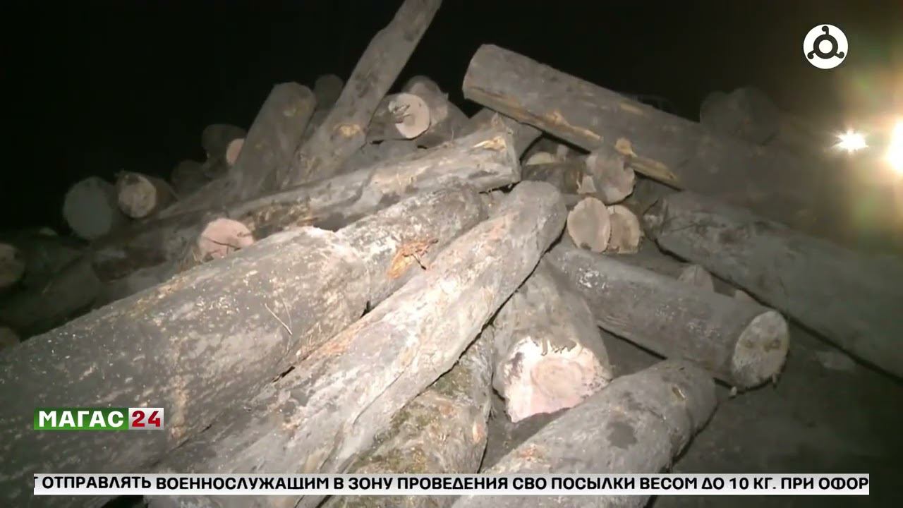 Ответственность за незаконную вырубку леса