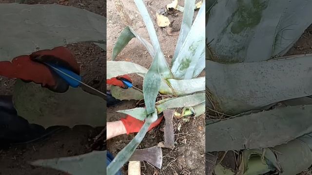 Чемодан без ручки. Жалко выбросить.