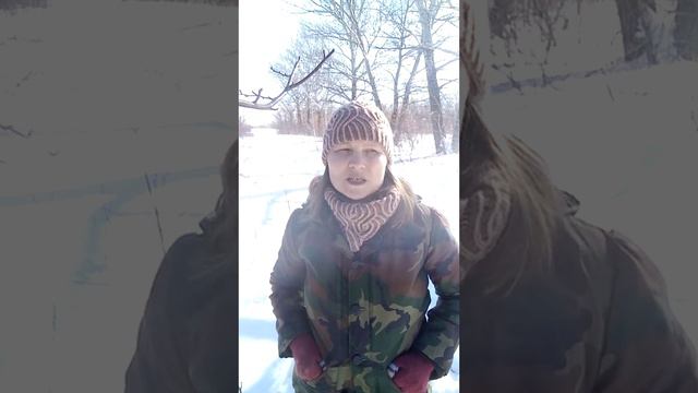 Критика в жизни людей и животных
