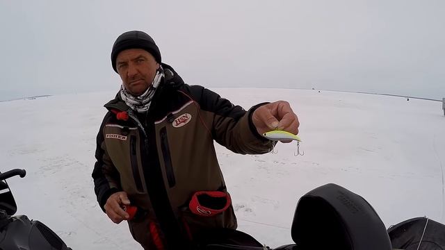 Судак на ратлины: что в коробке у чемпиона? Андрей Ферафонтов о секретах ловли судака на вибы зимой