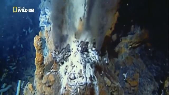 Дно океана тайный мир загадок бездны живые тайны под водой