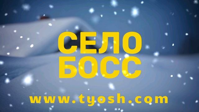 Новогодние корпоративы, представления, ёлка в Белгороде, Губкине декабрь 2022, январь 2023 фестивали
