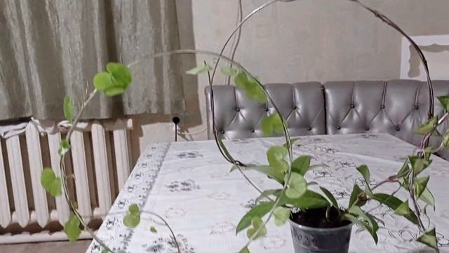 Помощь лианам