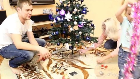 ВЛОГ ЕЛКА КОТ и ФЕЯ == VLOG TREE CAT FND FAIRY