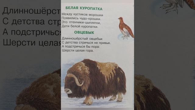 Детские стихи о животных и птицах севера.автор Владимир Степанов