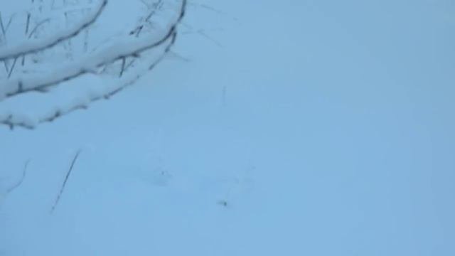 Зимняя Сказка моего двора.