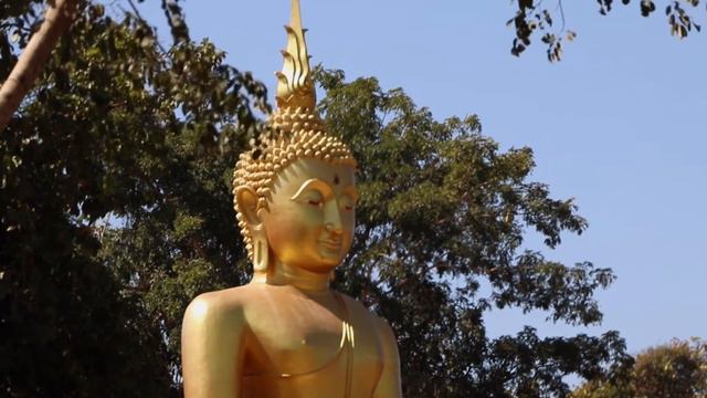 ★︎3 Hours Zen Music Meditation★︎ Perfect Healing Vibes For Your Mind, Spirit and Soul.