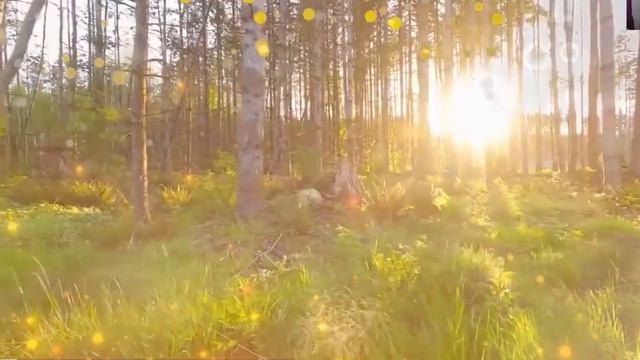 ПОТРАТЬ 1 МИНУТУ! ИЗБАВЬСЯ ОТ БОЛЕЗНЕЙ И ВЕРНИ ЗДОРОВЬЕ СЕЙЧАС! Вечерняя молитва Господу Богу