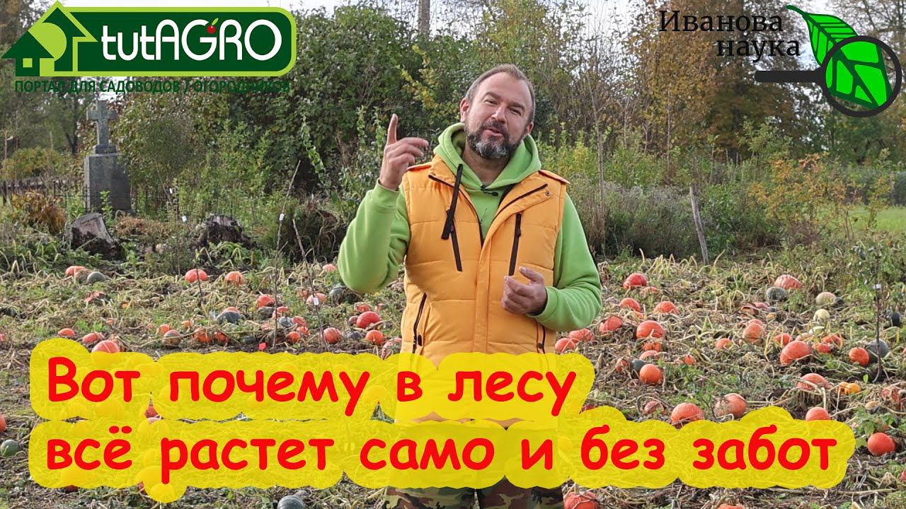 НАРОД ХОЧЕТ ЗНАТЬ! Почему в природе все растет само, а в огороде надо все-время что-то делать?