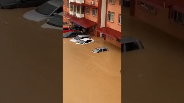 🇲🇾 Разрушительное наводнение, произошедшее недавно, стало страшным испытанием для жителей Малай...