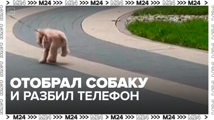 Москвич отобрал у девушки собаку и разбил ее телефон — Москва 24