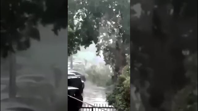 Мощный ураган в Москве ломает деревья