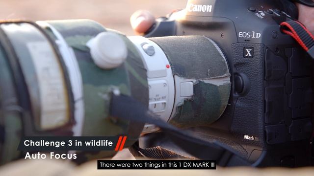 Behind The Scenes with Shivang Mehta and the Canon EOS - 1D X Mark III