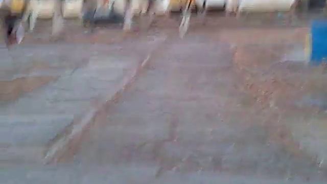 Вечерняя. Прогулка с собакой белкой.  Укусила собака!!?