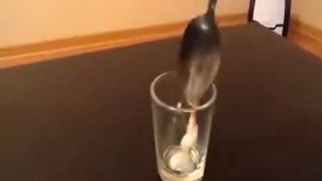 Маска для волос масло жожоба