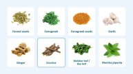 Types of Spices | List of Spices in English with Pronunciations and Pictures