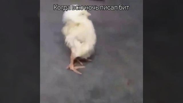 У кого было так же?