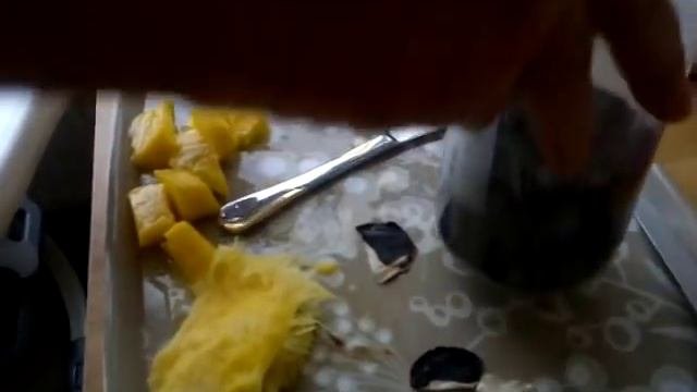 روش کاشت درخت میوه انبه از هسته