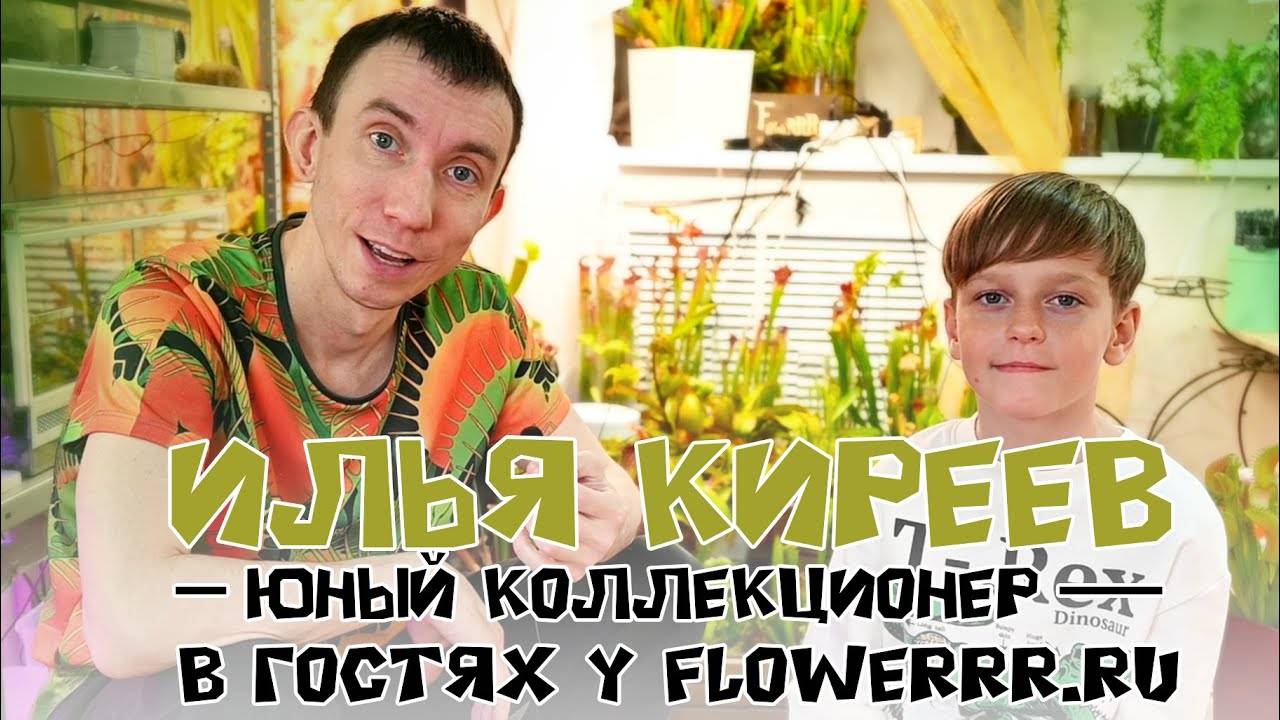 Илья Киреев – самый крутой коллекционер хищных растений с острова Сахалин
