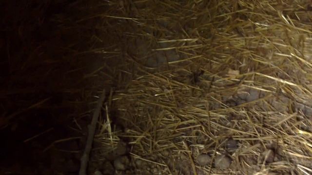 Нашли дом призрака I Не кликбейт !!!