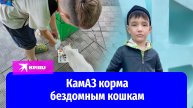 Мальчик из башкирского села продаёт игрушки ради корма бездомным кошкам