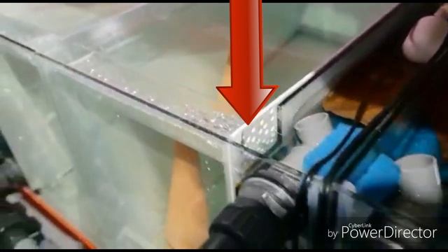 Новый нерестовой блок для Дискусов.