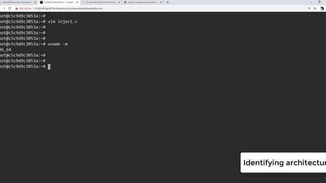 Docker Security: Process Injection