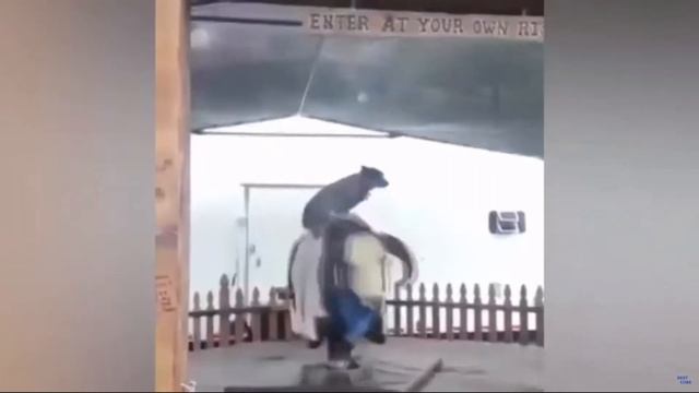 ЛУЧШИЕ ПРИКОЛЫ БЕШЕННАЯ СКОРОСТЬ FAST SPEED СМЕХ ДО СЛЁЗ FUNNY JOKE ТОПОВАЯ ПОДБОРКА С МУЗЫКОЙ MUSI