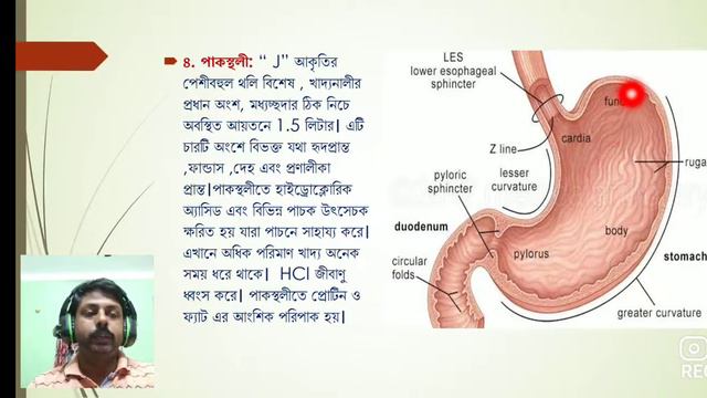 পুষ্টি।।দ্বিতীয় অংশ।।নবম শ্রেণী।। WBBSE