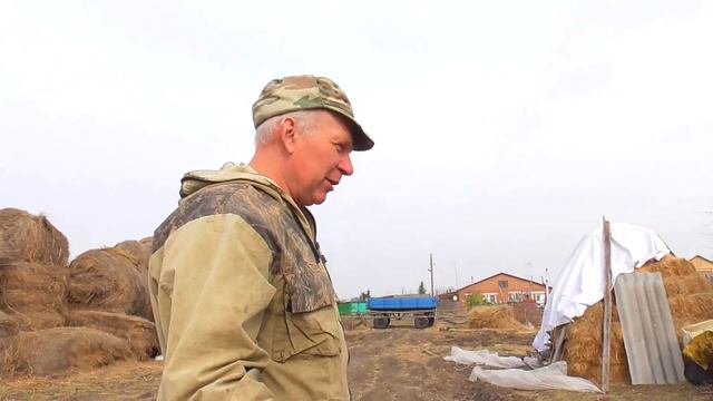 Бажениты планы на лпх эстафета челенж  отдали следующему