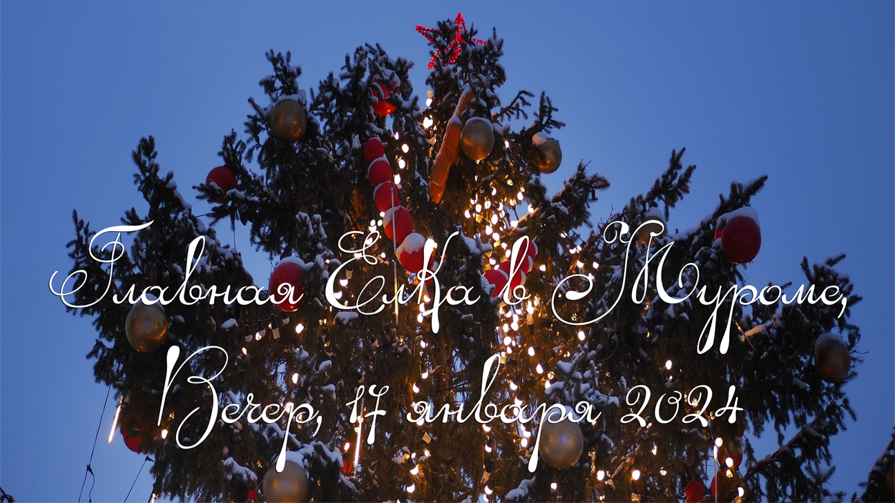 Главная Ёлка в Муроме, Вечер, 17 января 2024, Main Christmas tree in Murom, Evening, January