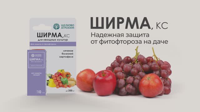 Ширма, КС — надёжная защита от фитофтороза на даче