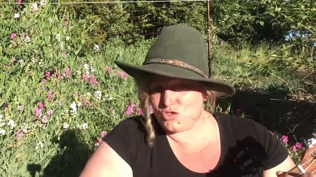 ALISON KRAUSS LUCKY ONE COVER - FEMALE BLUEGRASS COVER - Lucky One Cover - Alison Krauss Cover