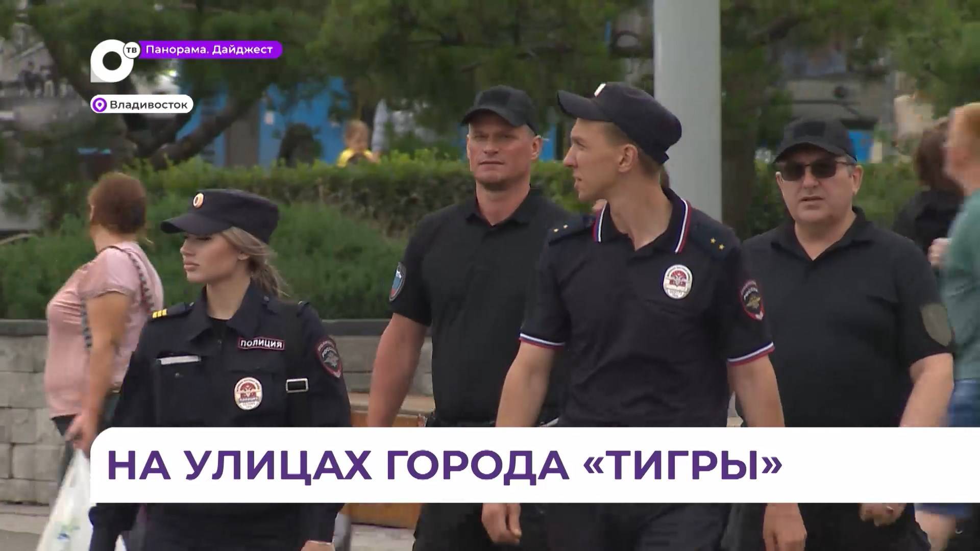 Отряд «Тигр-правопорядок» по отработанному маршруту патрулирует улицы Владивостока