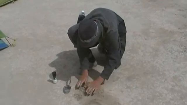 Денежное дерево в Неваде
