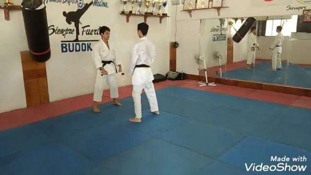 Gohon Kumite 1, 2 Y 3